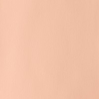 WN designers gouache flesh tint