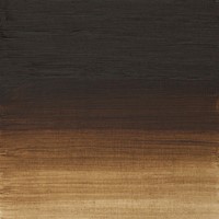 WN artists olieverf Raw Umber - tube 37 ml